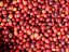 Specialty coffee Costa Rica Aquiares Estate Entre Rios Obata roasted on omni roast.