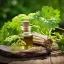 Huile essentielle d'Angelica, 100 % naturelle, en flacon de 10 ml, idéale pour l'aromathérapie.