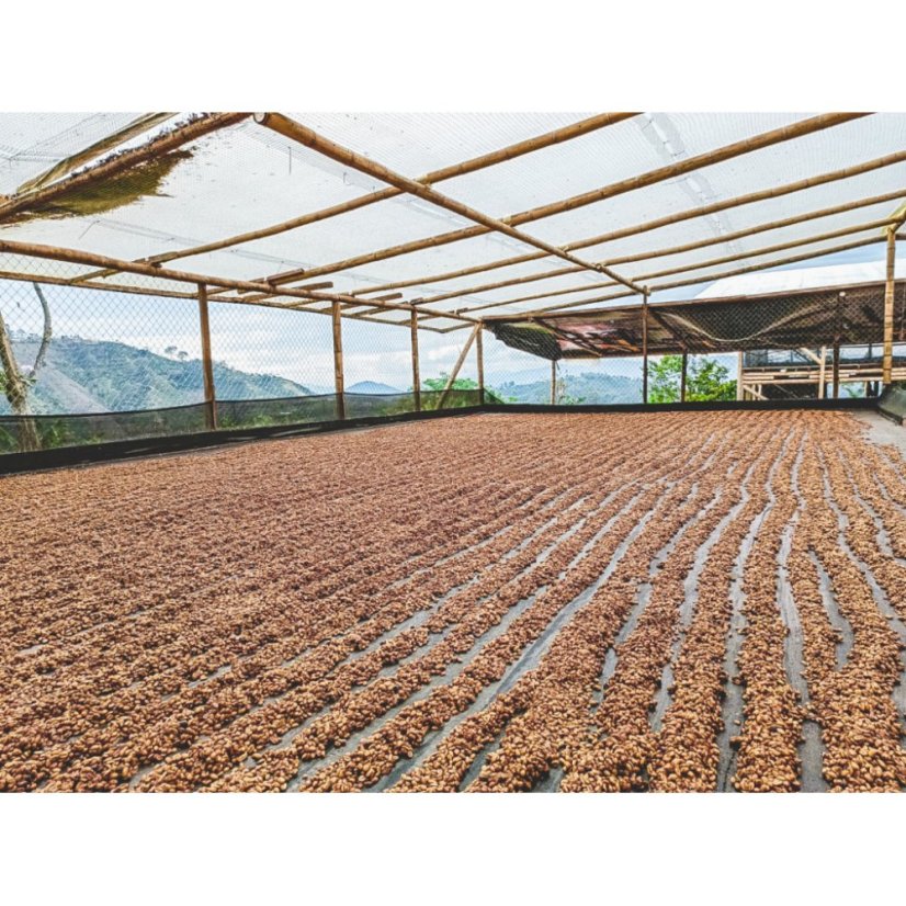 Colombia erkkollane | Filter - Pakendamine: 250 g