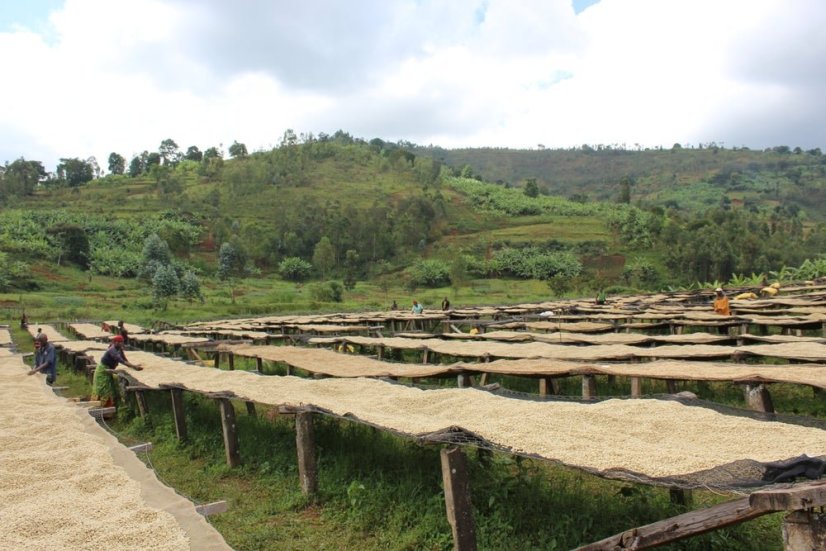 Burundi Yandaro | Filtr - Balení: 250 g