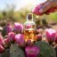Kaktusfeige - 100% natürliches ätherisches Öl 10ml