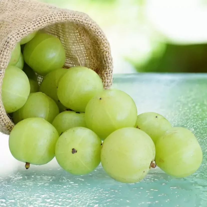 BIO Amla is a 100% natural Ayurvedic oil, perfect for skin care.