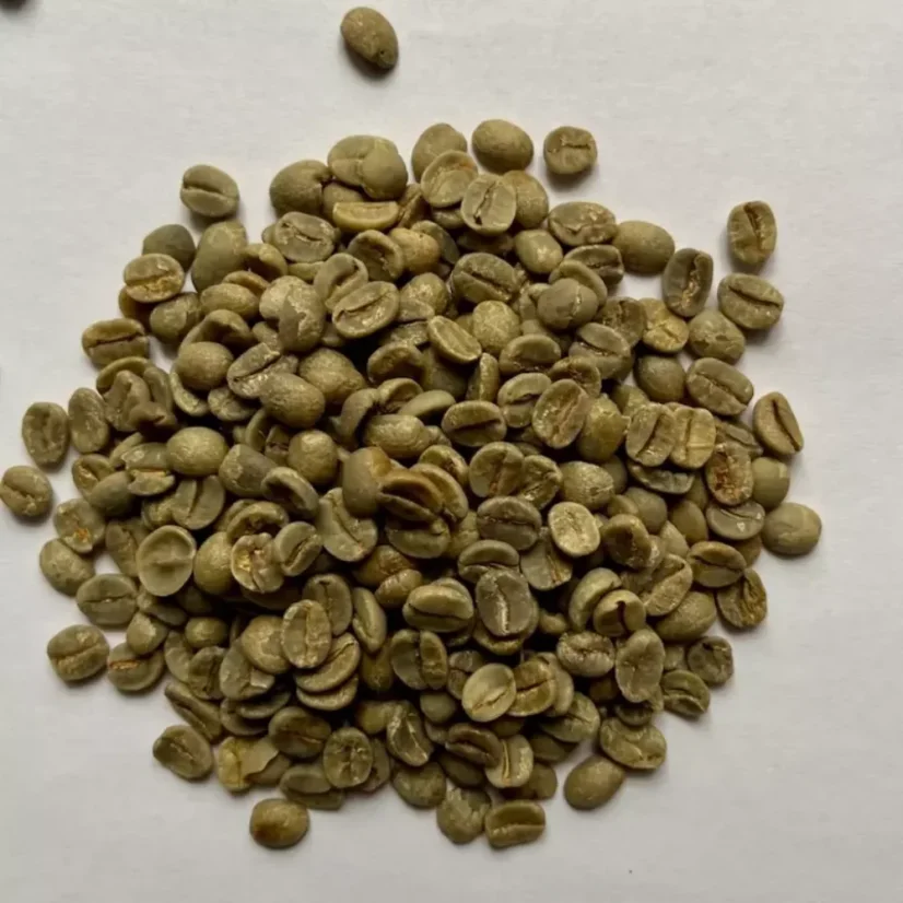 Café vert Sancoffee du Brésil de 1 kg est fabriqué à partir de la variété Catuai, connue pour sa haute qualité et son goût intense.