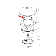 Placement of the seal.