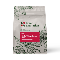 Äthiopien Gesha Village Surma Natural 100g | Filter