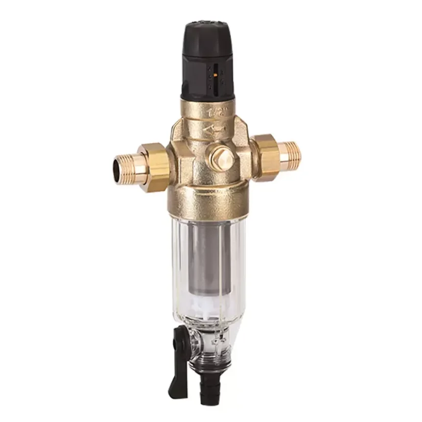 BWT Protector mini C/R 1" 100 μm filtration d'eau