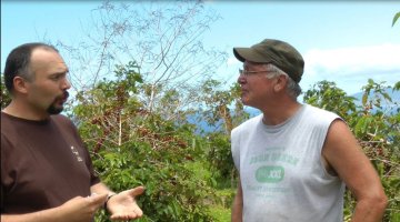 Kávová mikrofarma v Maui – Video