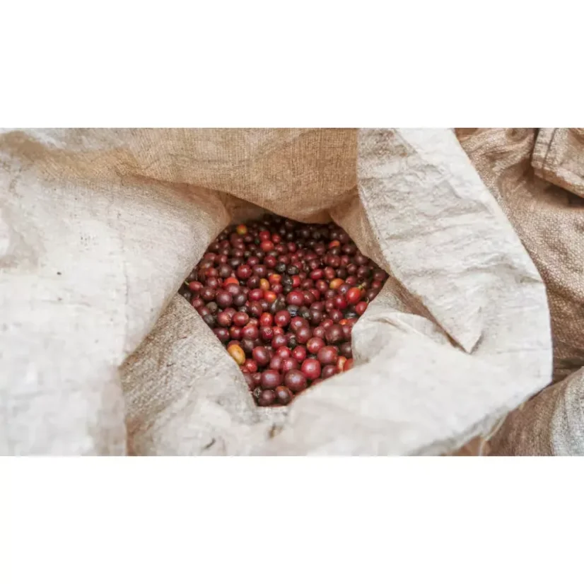 Gerezen koffie voor espresso Tanzania Acacia Hills biedt een uitgebalanceerde smaak voor een perfecte espresso-ervaring.