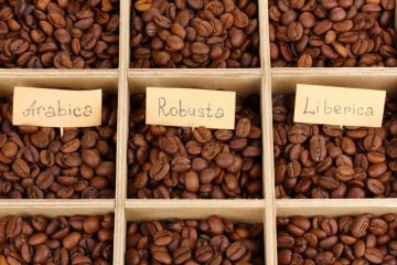 Tredje kaffesort: Liberica