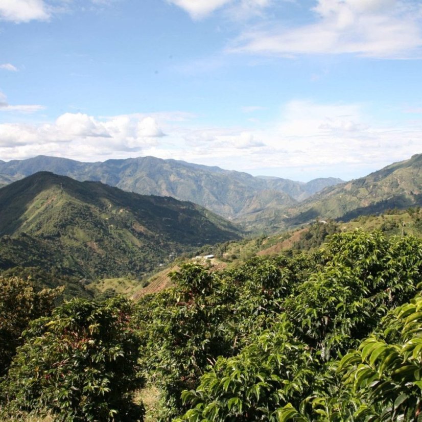 Colombia La Victoria | Espresso - Conditionnement: 250 g
