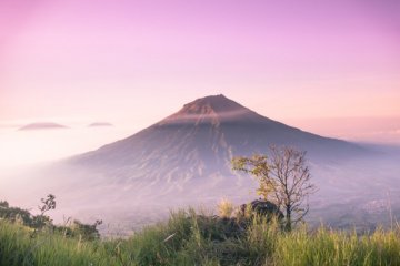 Dlaczego niektóre gatunki kawy są uprawiane niebezpiecznie blisko wulkanów?