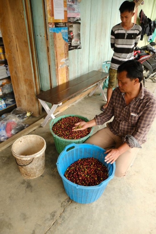 Indonezja Gayo Asman Arianto - Opakowanie: 250 g, Pieczenie: Nowoczesne espresso - espresso zawierające kwasowość