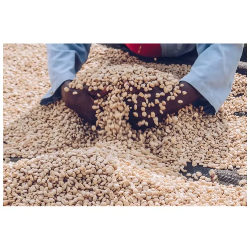 Rwanda Ngoma Washed | Filtr - Balení: 250 g