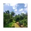 Kaffee Nikaragua Finca Los Altiplanos ist eine hochwertige Bohnenkaffee, der für die Zubereitung im Filter geeignet ist, ideal für Kaffeeliebhaber.