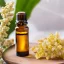 BIO Kadidlo Frereana ist 100 % reines ätherisches Öl in einer 10 ml Flasche, ideal für die Anwendung bei Akne. BIO Kadidlo Frereana ist 100 % reines ätherisches Öl in einer 10 ml Flasche, ideal für die Anwendung bei Akne.