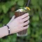 Tendencija "Nitro Cold Brew" vardu