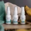 Olio di CBD Harmony in spray, 500 mg, 15 ml, Naturale