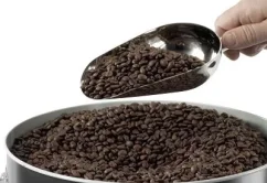 Cuillère en acier inoxydable avec des grains de café sur fond blanc