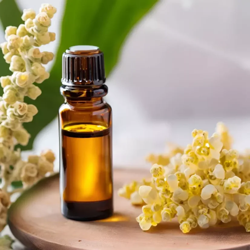 BIO Kadidlo Frereana ist 100 % reines ätherisches Öl in einer 10 ml Flasche, ideal für die Anwendung bei Akne.