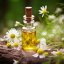Chamomile essential oil by Pěstík, 100% natural, 10 ml, suitable for supporting hormonal balance.