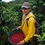 Ausgewählte Kaffee Costa Rica Hacienda.