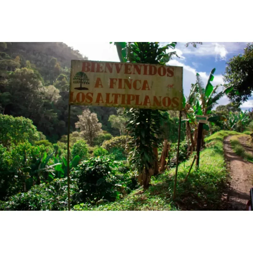 Zrnka Kaffee Nicaragua Finca Los Altiplanos sind ideal für die Zubereitung im Filter und garantieren außergewöhnliche Qualität und Geschmack.