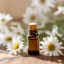 BIO Sedmikráska est une huile infusée 100% naturelle qui se distingue par sa qualité et ses propriétés bénéfiques. BIO Sedmikráska est une huile infusée 100% naturelle qui se distingue par sa qualité et ses propriétés bénéfiques.