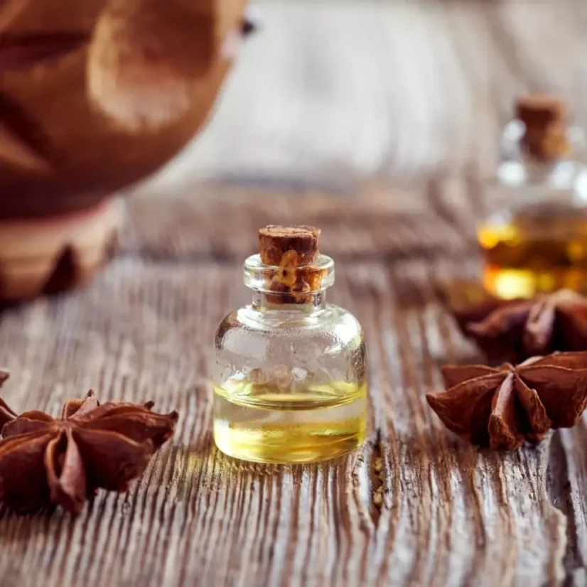 BIO Badyán – huile essentielle 100 % naturelle de 10 ml offrant des propriétés aromatiques uniques pour votre intérieur. 
