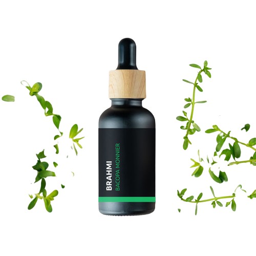 Ayurvediska växtbaserade oljor - Säsong - Höst