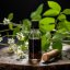 Gotu Kola - 100% naturlig eterisk olja 10 ml