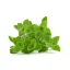 BIO Marjoram is a 100% natural essential oil that offers a herbal aroma to refresh your space.