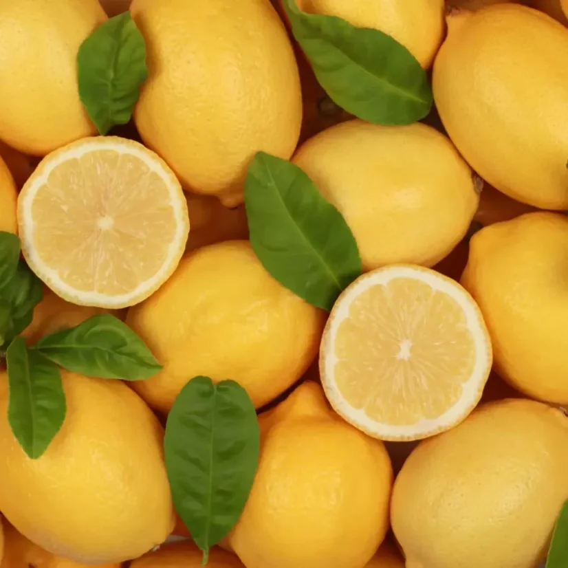 BIO Citrónový olej je 100% prírodný esenciálny olej s objemom 10 ml, ideálny na letné osvieženie a aromaterapiu.