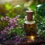 Wild Thyme - 100% Natural Essential Oil (10ml)