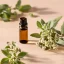 Origan BIO - Huile essentielle 100% naturelle 10 ml