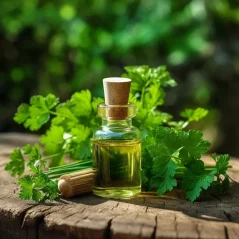 Esenciálny olej Petržlen v 10ml balení, ideálny na starostlivosť o pleť, 100% prírodný.