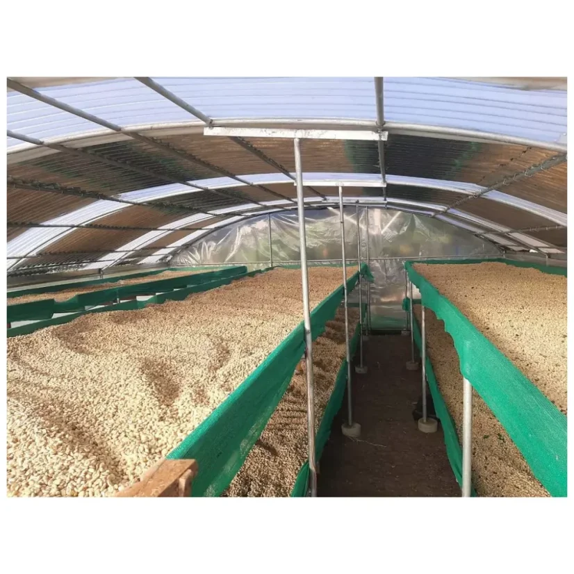 Peru Finca Churupampa es café en grano para espresso que ofrece un contenido medio de cafeína para una experiencia equilibrada.