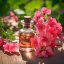 Geránium ružové - 100% prírodný esenciálny olej (10ml)