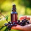 Huile essentielle de baie d'açaï en flacon de 10 ml, certifiée 100 % biologique.