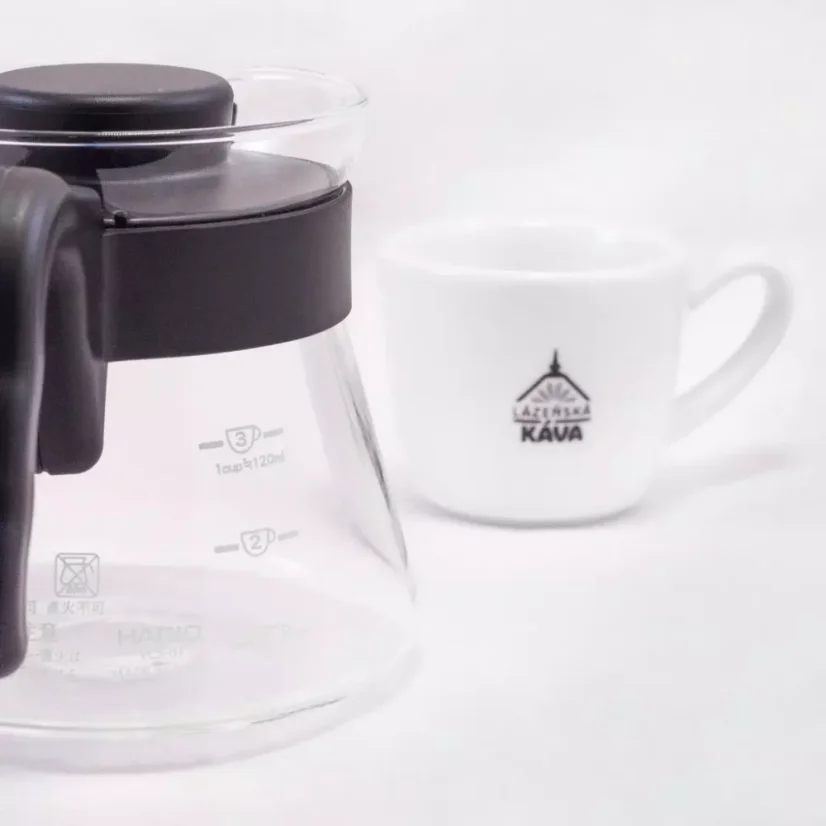 Hario Coffee Server V60-01 450ml
