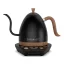 Electric kettle by Brewista in a luxurious matte black finish with wooden elements and temperature control feature.