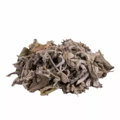 Sage tea, herbal organic Sage tea, herbal organic