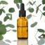 BIO Eucalyptus est une huile essentielle 100% naturelle, certifiée 100% biologique, idéale pour rafraîchir l'air et soutenir la respiration.