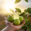 BIO Bergamot to 100% naturalny olejek eteryczny, który przynosi orzeźwiający cytrusowy zapach.