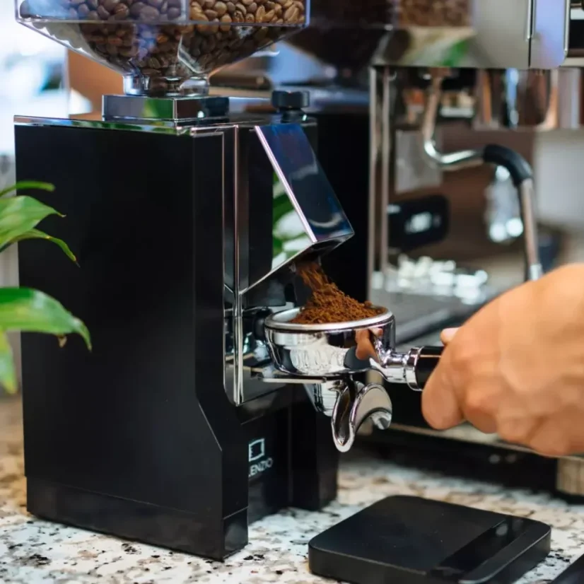 Electric coffee grinder Eureka Mignon Specialita CR black