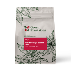 Etiópia Gesha Village Surma Natural 100g | Filter