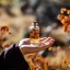 Ätherisches Öl Frankincense Frereana in einer 10 ml Flasche, 100% natürlich und geeignet für Männer. Ätherisches Öl Frankincense Frereana in einer 10 ml Flasche, 100% natürlich und geeignet für Männer.