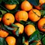 L'orange BIO est une huile essentielle 100% naturelle qui offre un effet rafraîchissant.