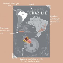 Beanie Brazil - plakat A4