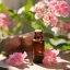BIO Pelargonium est une huile essentielle 100 % naturelle avec un volume de 10 ml, idéale pour l'aromathérapie et pour créer une atmosphère apaisante.