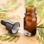 BIO Cypřiš est une huile essentielle 100 % naturelle avec un effet rafraîchissant, idéale pour l'aromathérapie et l'amélioration de l'atmosphère intérieure.